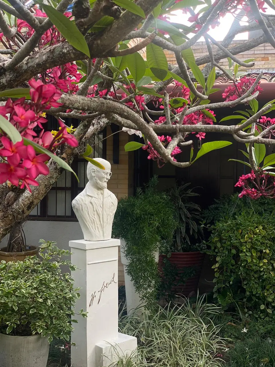 Jardim com busto de Freud